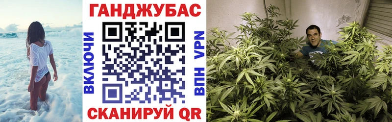 Бошки марихуана AK-47  где купить наркоту  ссылка на мегу зеркало  Ивдель 
